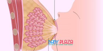 Nguyên nhân việc mẹ tắc sữa và mẹo chữa tắc tia sữa