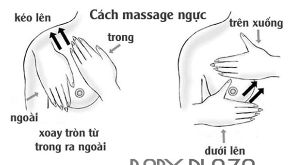 cách massage bầu ngực tránh tình trạng tắc sữa