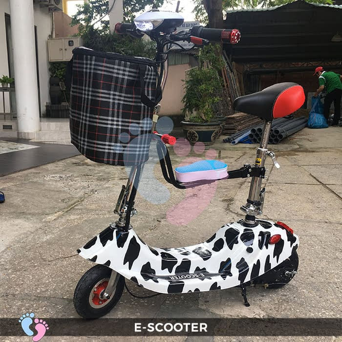 xe điện trượt scooter mini