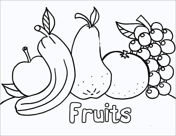 bộ sưu tâp trái cây cho bé tập tô