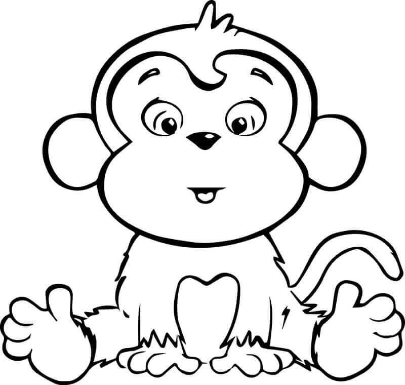 tranh tô  màu con khỉ