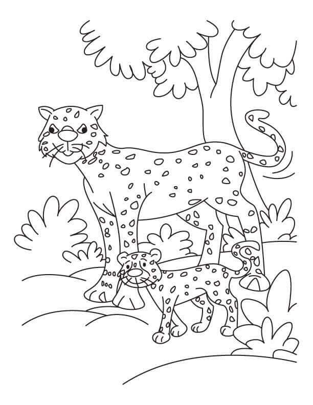 Con báo Amur Felidae Cheetah Jaguar Phim hoạt hình con báo động vật tác  phẩm nghệ thuật png  PNGEgg