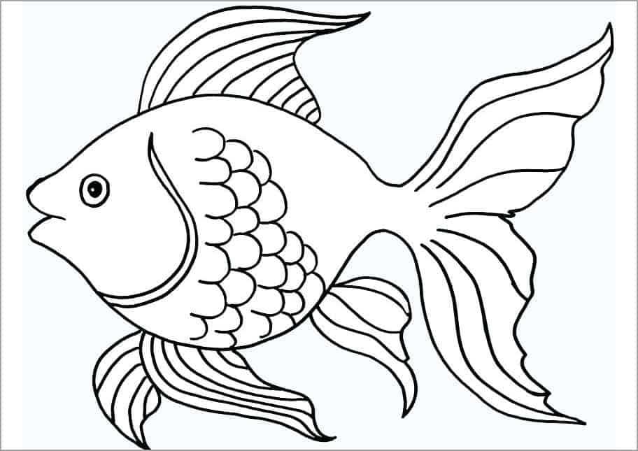 tranh tô màu cho bé hình con cá vàng