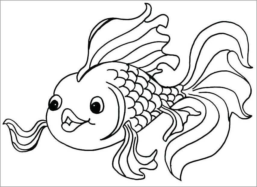 tranh tô màu cá đuôi rồng cho bé tập tô