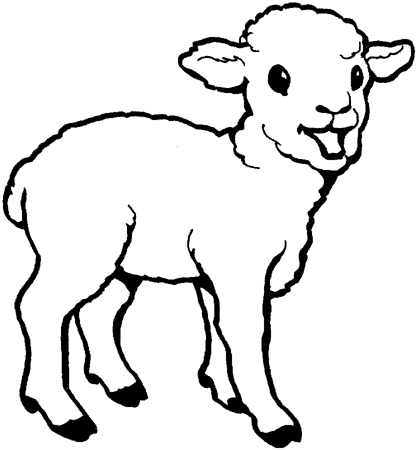 hình tô màu con cừu cho bé