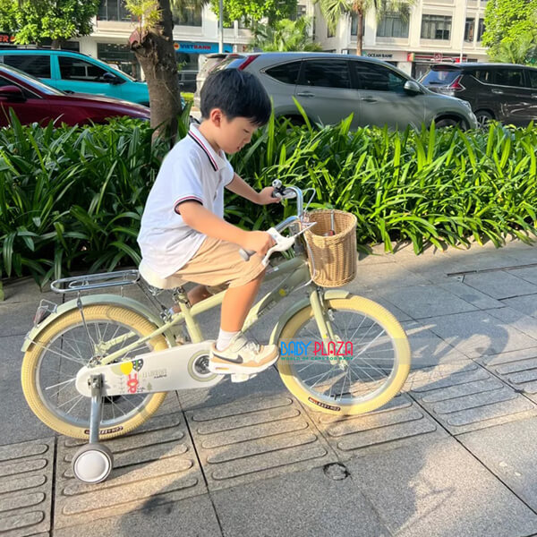 xe đạp cao cấp thương hiệu Xamming